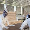 THẾ NÀO LÀ PHÔI CỬA NHỰA COMPOSITE CHẤT LƯỢNG?